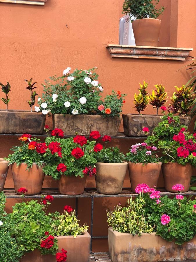 Xacalli Hotel San Miguel de Allende Eksteriør bilde